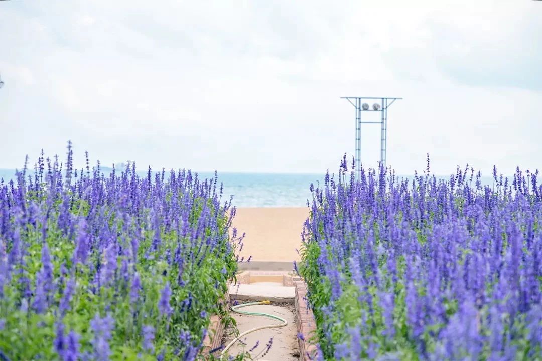 深圳旅游好去处推荐,深圳宝安区周末休闲浪漫好去处