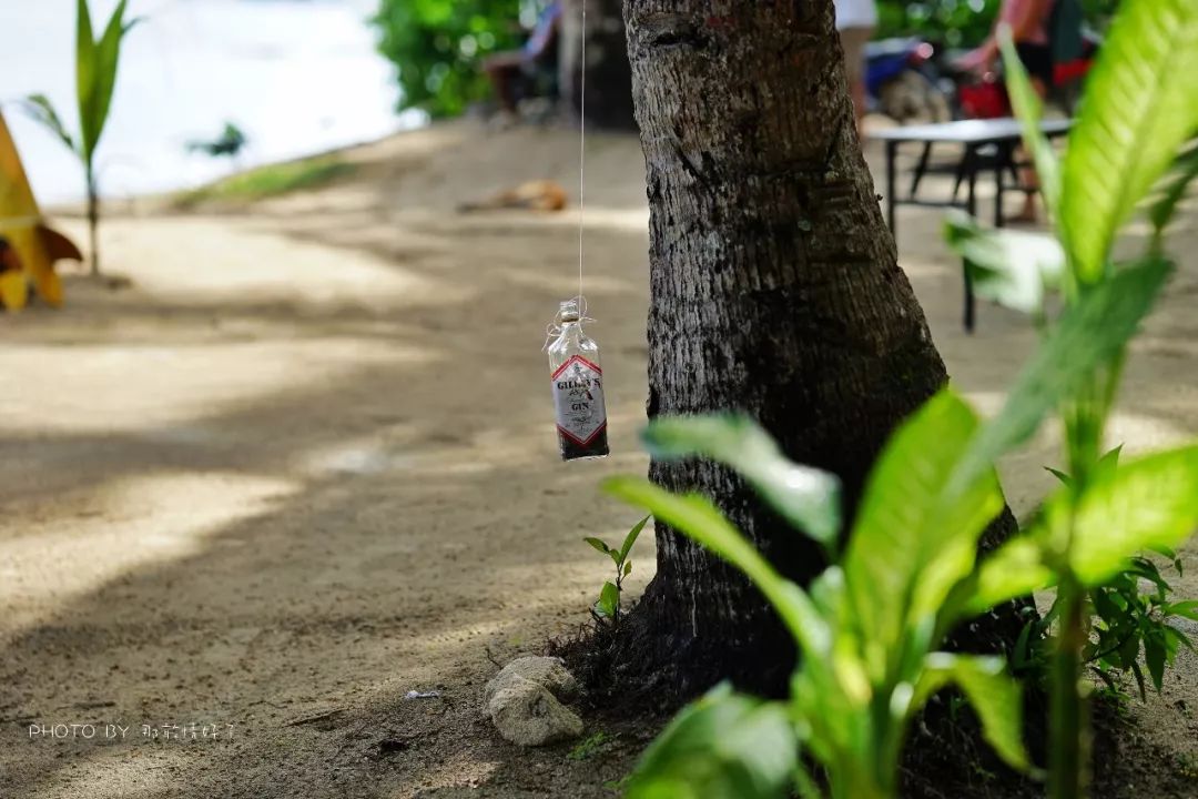 菲律宾冷门景区 (菲律宾锡基霍尔岛冲浪)