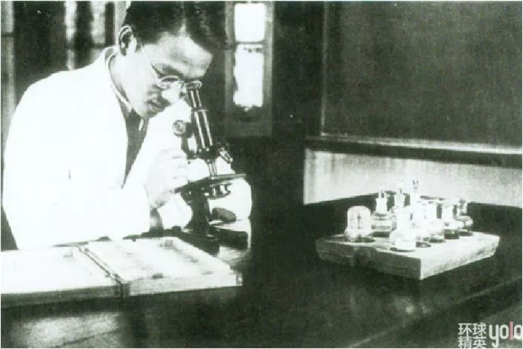 西什库小学所有学生,西什库小学学生人数