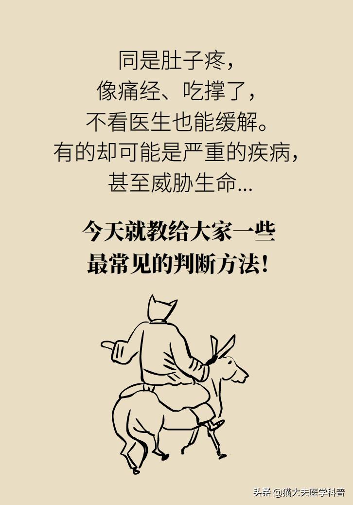 突然毫无征兆的肚子疼怎么办,肚子疼不是胃的问题还可能是什么