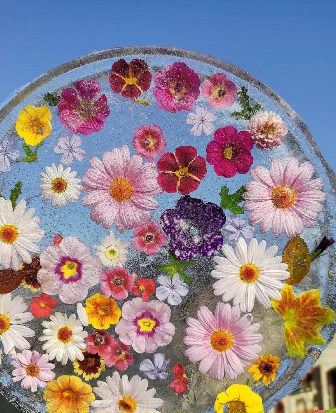 寒潮来袭，你的阳台也能开出这样的“水晶花”