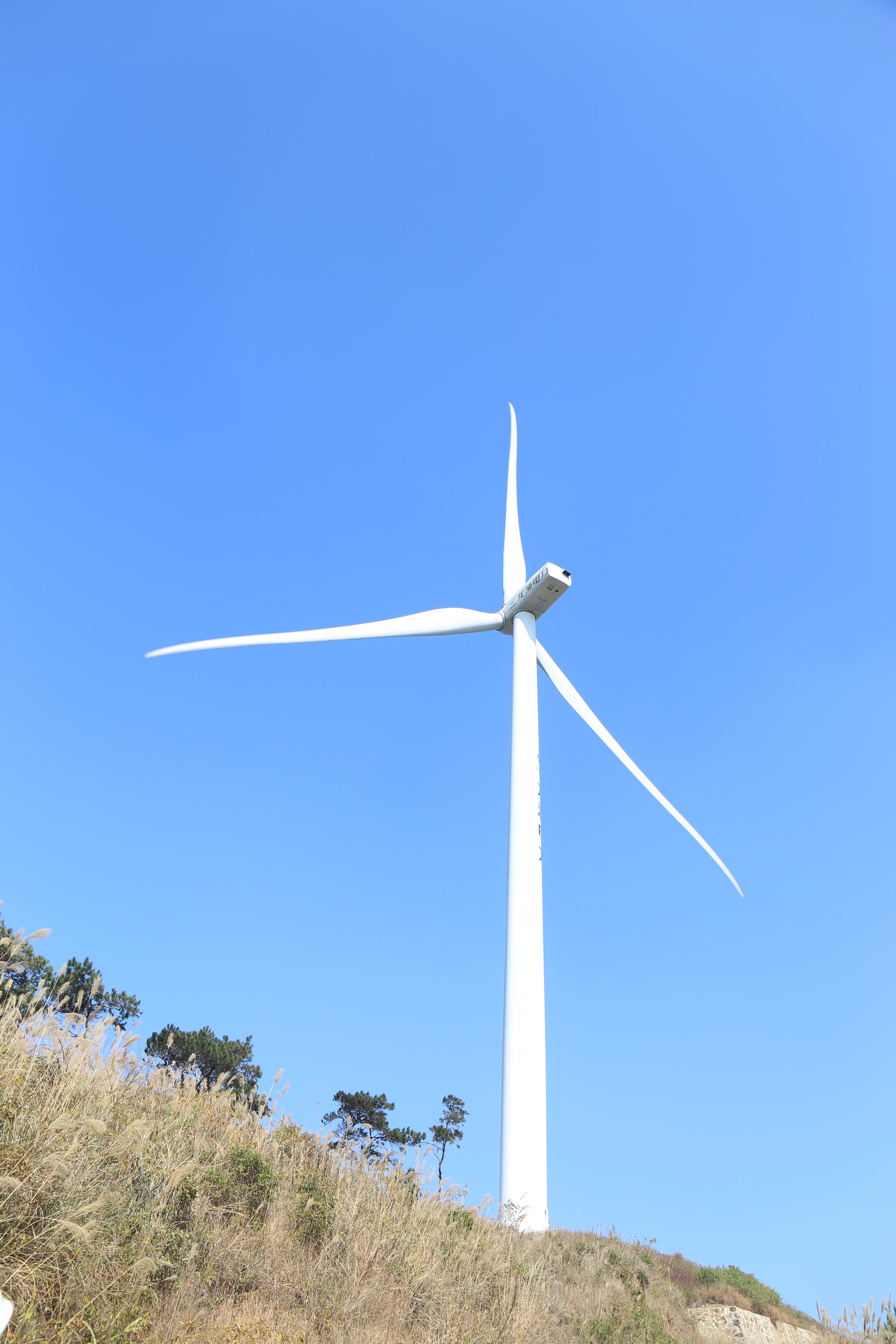 南宁东两天两夜旅游攻略,南宁出发3-5天自驾短途旅游推荐