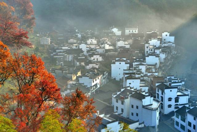 唯愿不负美景不负卿,不负美景不负卿什么意思