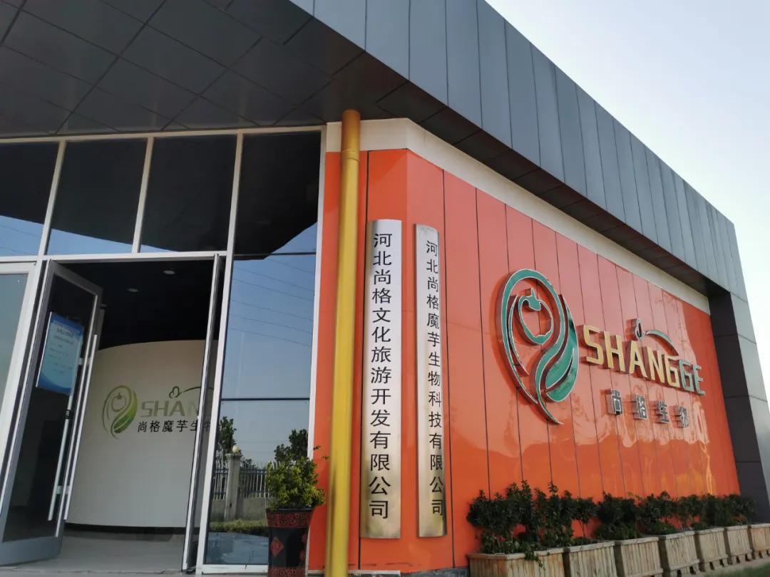 省媒绘声绘色，讲述复兴故事