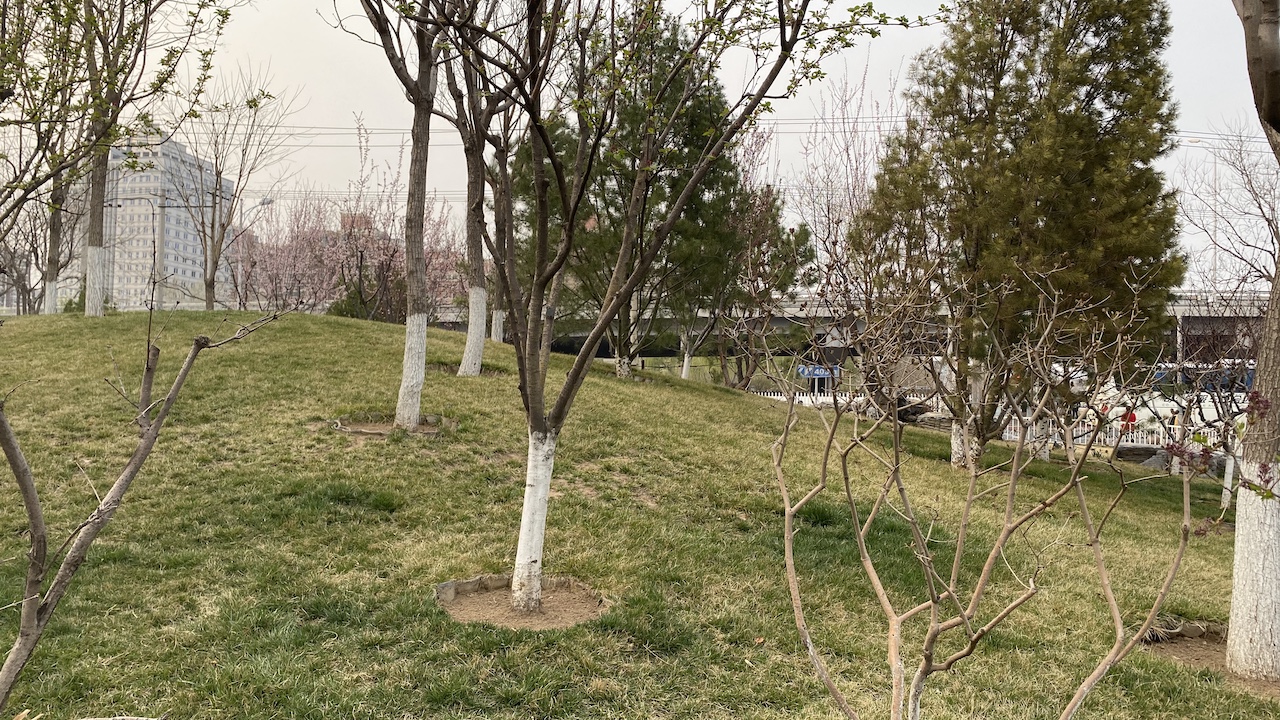 红米k30pro对比红米note10pro,红米k30pro跟小米10哪个值得买