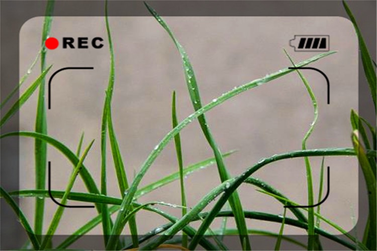 被称为失信人如何创业,创业成为失信人对找工作有影响吗