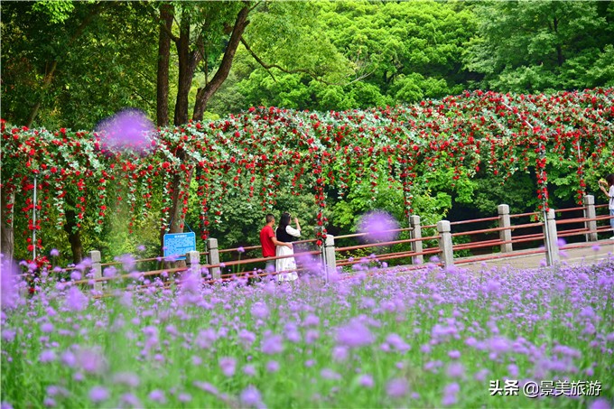 英德宝晶宫旅游区,清远宝晶宫景区