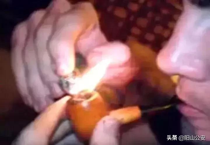 最毒的蝎子烟图片,蝎子烟是什么毒