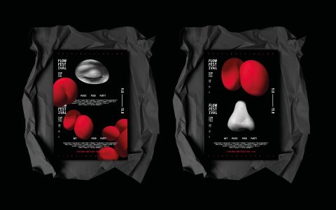 布里斯托城足球俱乐部英超,布里斯班足球俱乐部