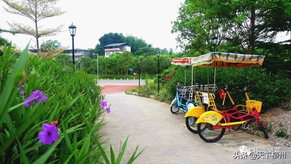 一支给予幸福守护健康的球队#朴宿·繁花#