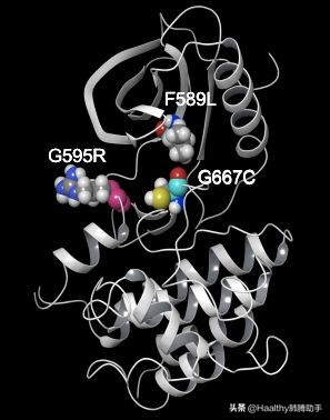 肺癌罕见基因突变,肺癌罕见基因治疗进展