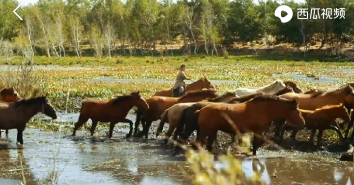 乌珠穆沁的孩子电影在线观看,乌珠穆沁的孩子怎么样