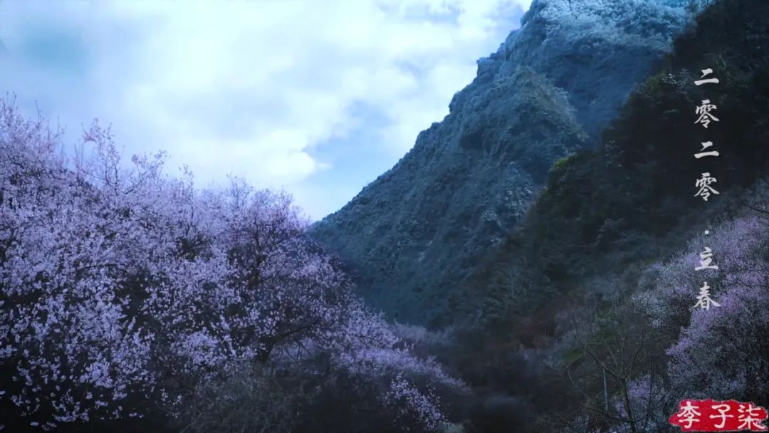 李子柒视频转场技巧,李子柒拍摄视频技巧