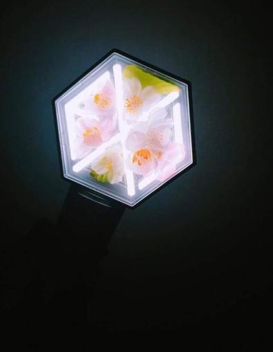 三代爱丽棒被吐槽，在爱丽的改造下成功“洗白”，EXOL真心灵手巧