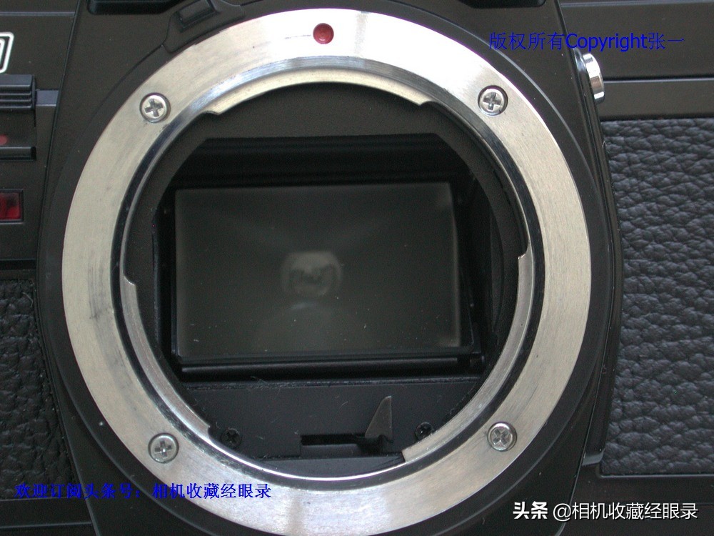 海鸥seagull相机,上海海鸥照相机所有型号序列号