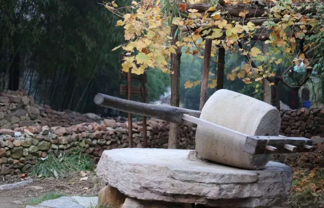 人少景美的山东小众旅行地,只要胆子大就能放长假