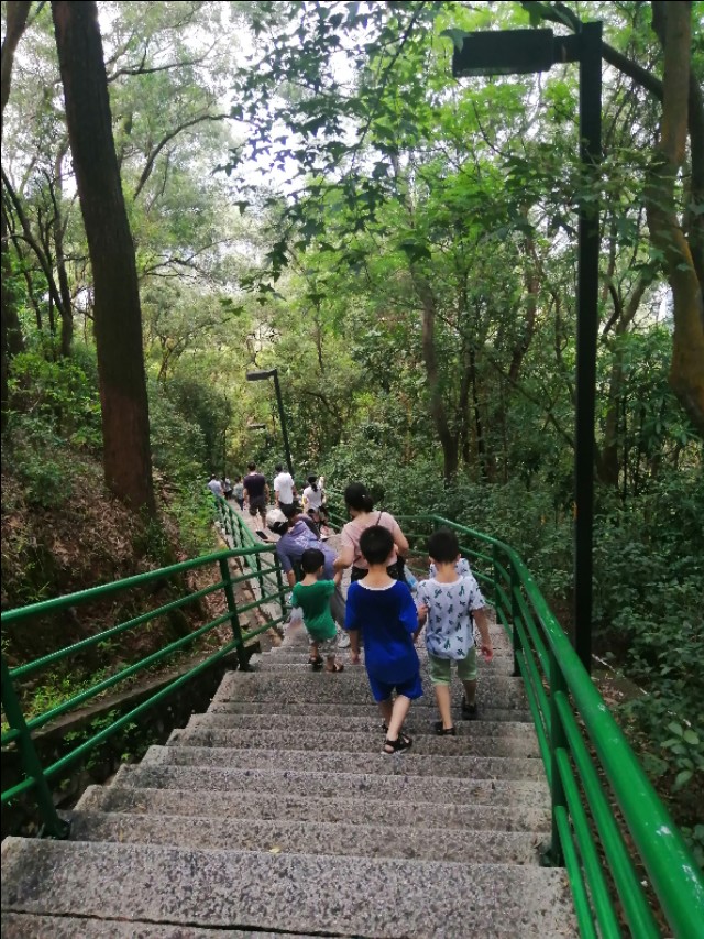 东莞旗峰公园掠影,东莞旗峰公园大体俯视图片