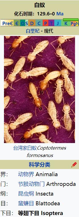 下雨天很多飞蚁是什么蚁,雨后飞蚁怎么来的