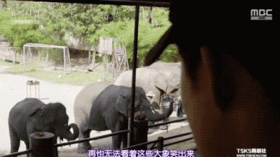 9.4分韩国催泪电视剧,韩国十部9.5评分催泪电影