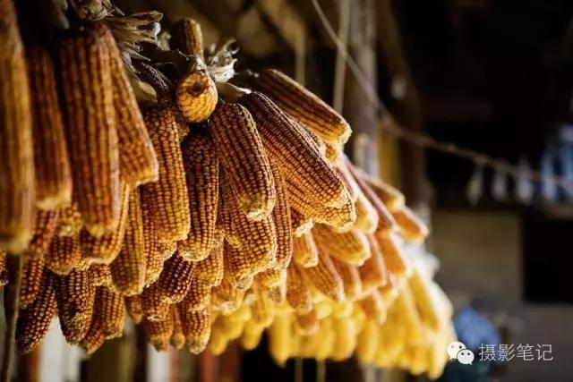 对焦最好的6种方法,视频对焦4分钟学会30种对焦策略