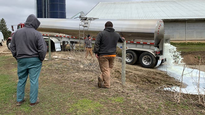 中国首批新国标婴幼儿配方奶粉,疫情下的奶粉