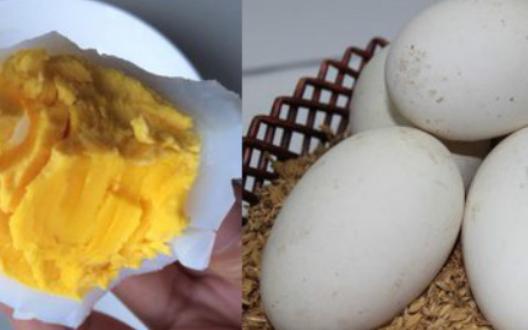 孕晚期吃鹅蛋怎么解胎毒,孕晚期吃鹅蛋可以去胎毒吗