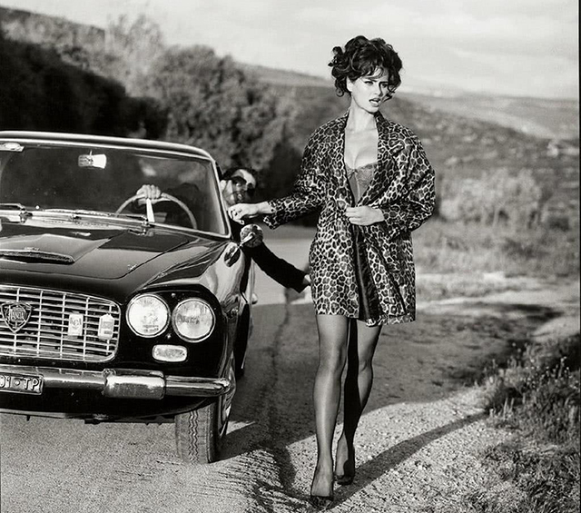 玫瑰岛的不可思议的历史哪看,玫瑰岛不可思议的历史免费观看