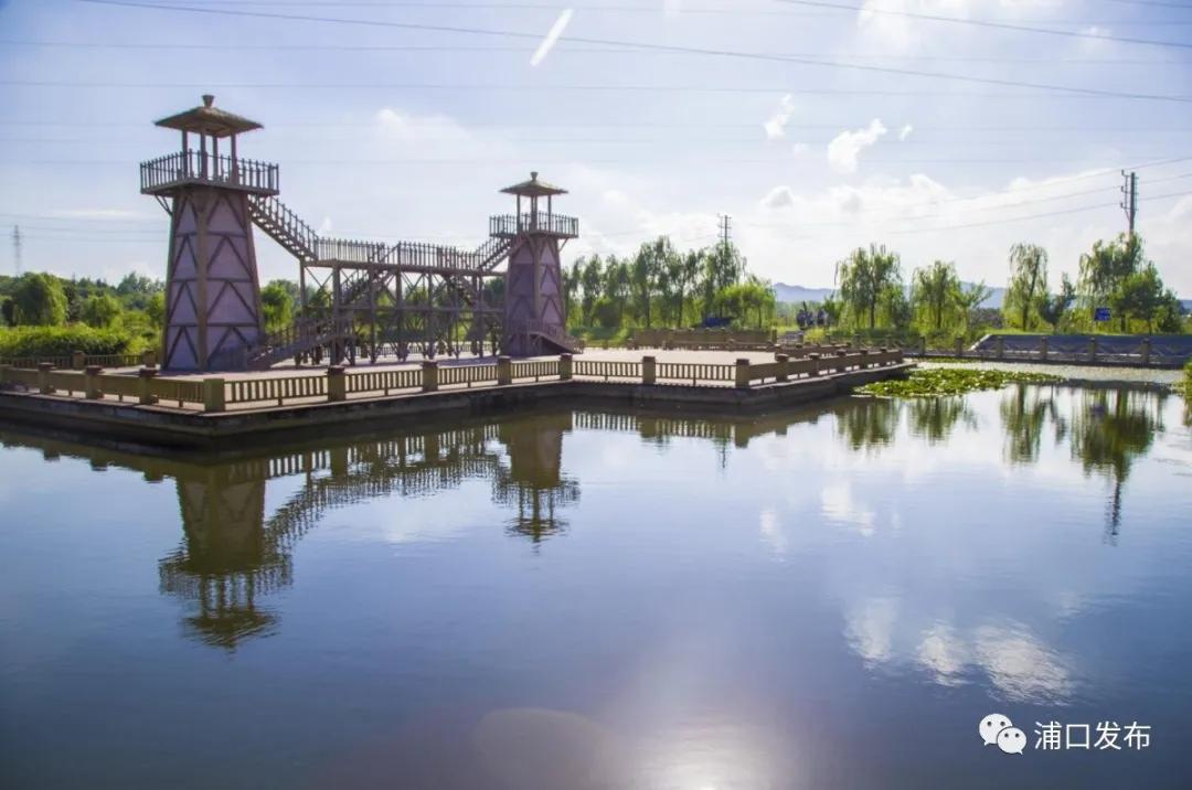 浦口花,南京看花的地方浦口