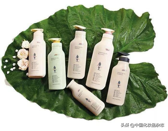 打破洗护市场格局,高端洗护产品市场现状