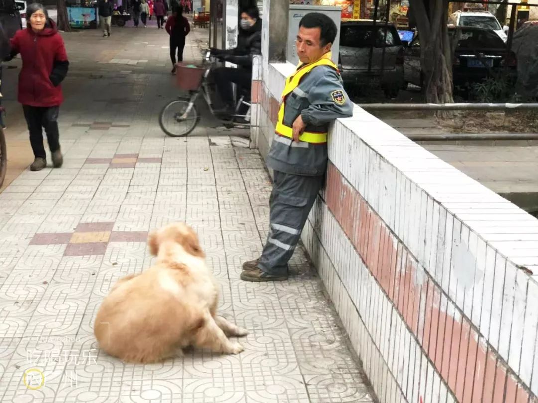 下一站广州完整版怎么配乐,下一站广州的文案