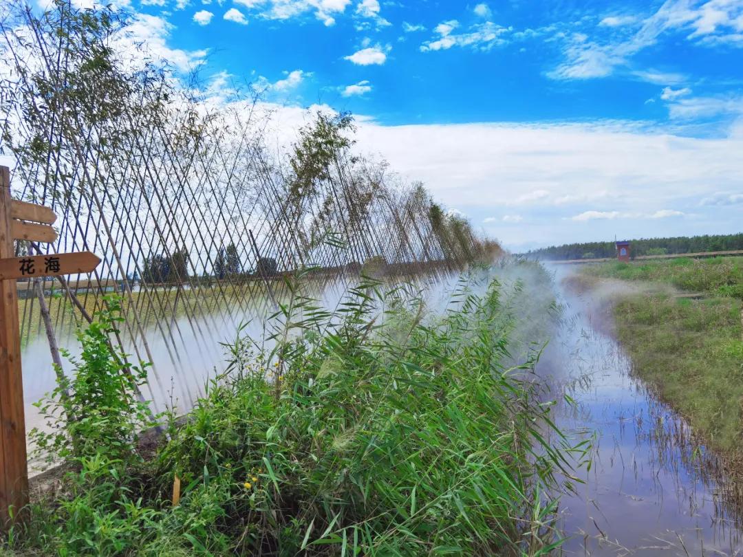 甘露花海最美打卡地点,花海风光打卡地