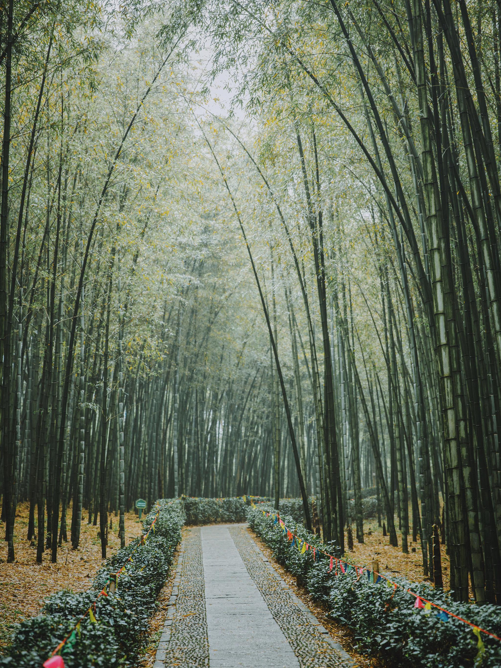 江浙沪藏在桐庐的绿野仙踪,浙江桐庐秘境山水