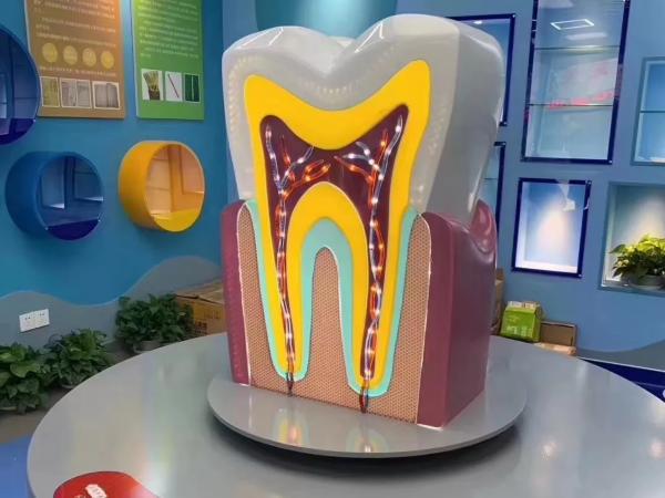 刚刚,无锡儿童口腔医院正式启用了