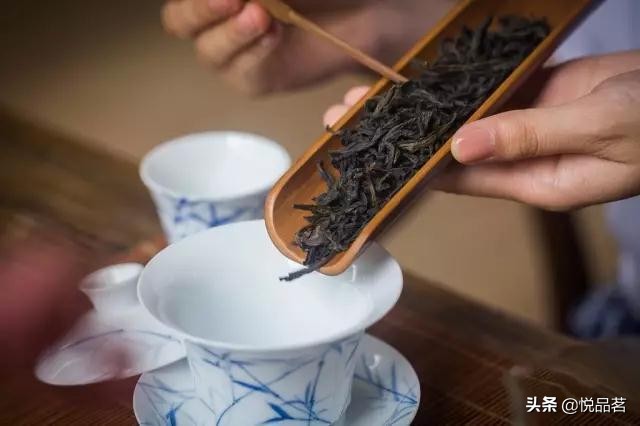 爱茶之人与茶的情感,爱茶的人诗情画意