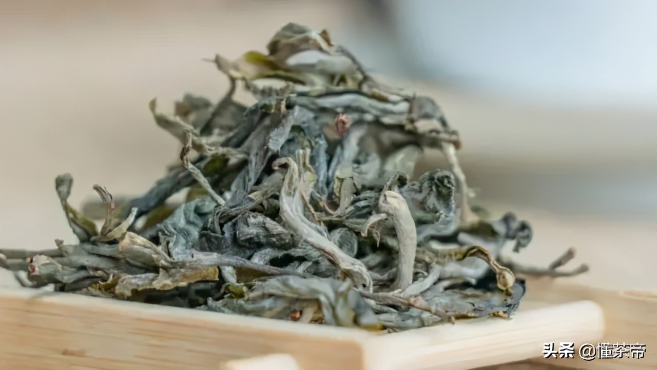 云南十大古树茶排名,云南的古树茶有哪些