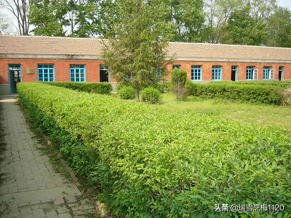 沈阳市沈北新区原抗大学校,沈阳百年学校