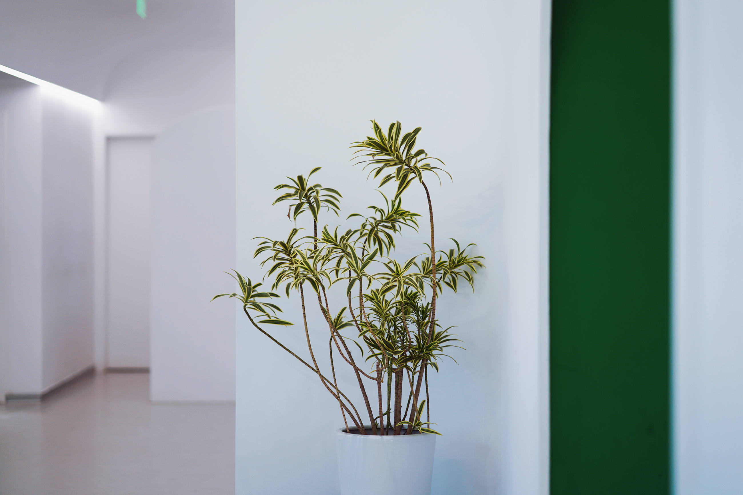 送你一份不走寻常路的苏州攻略，田园风民宿+文艺小清新打卡地