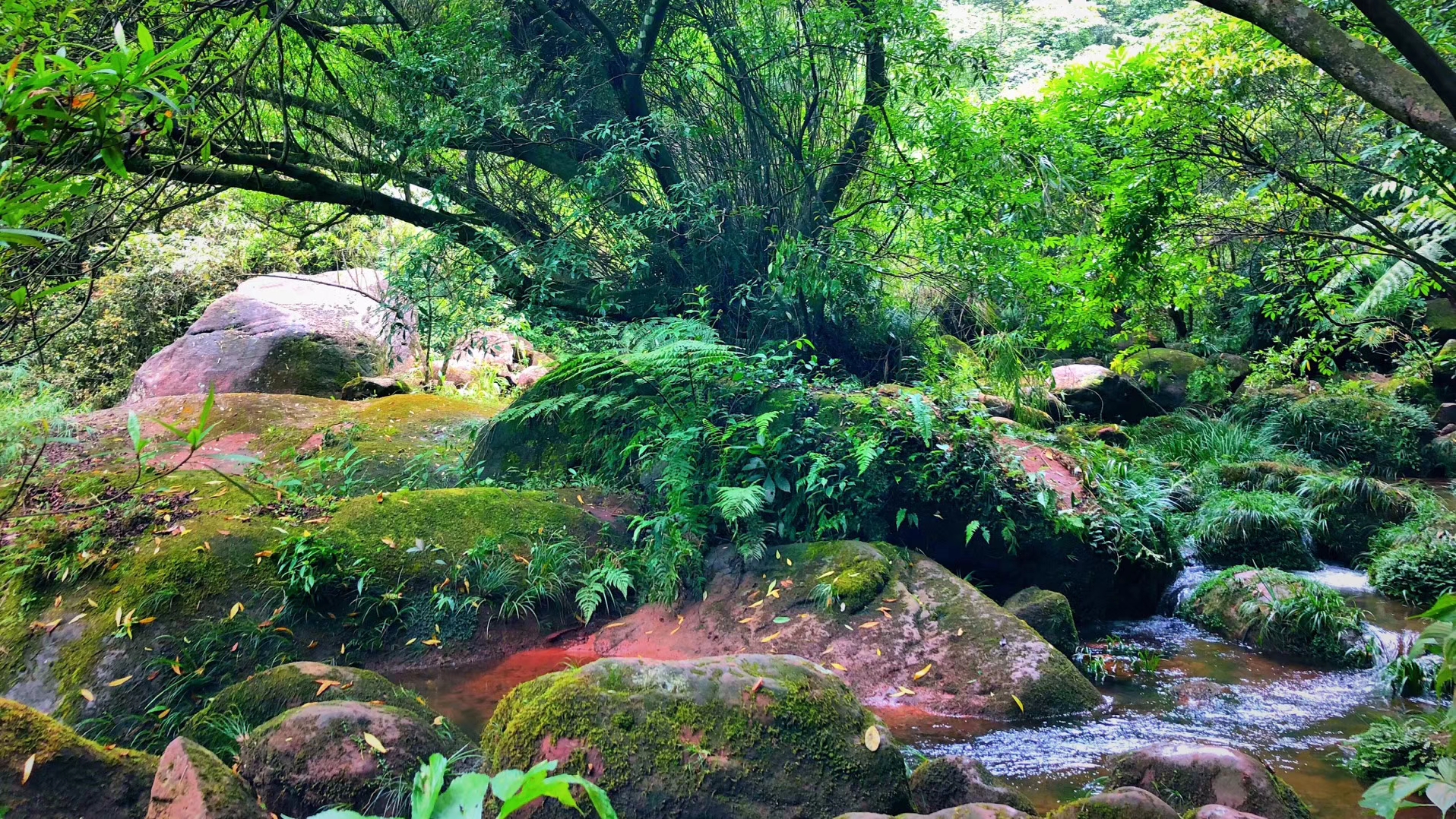 omg口红一哥,omg口红在哪里