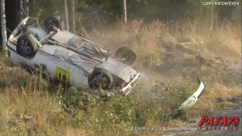 2003年f1舒马赫经典比赛,1996年舒马赫雨中夺冠