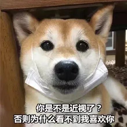 狗狗犬瘟半夜抽搐吐白沫怎么办,幼犬抽搐口吐白沫查不出犬瘟