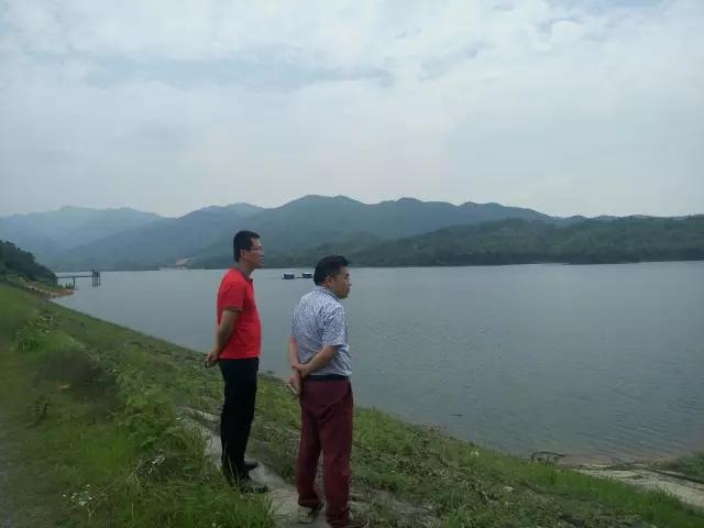 大三湘茶油销售模式,湖南大三湘茶油产业