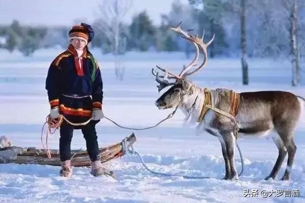 芬兰vodka,芬兰人与乌拉尔族