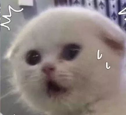 不到半天就火速售罄,不到1分钟就被抢购一空