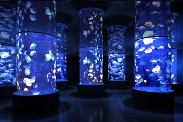 海悦天地海洋公园,庄里溜娃好去处