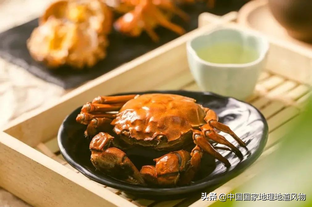 南方熟醉六月黄VS北方生腌皮皮虾,谁才是让人最爱的那口“鲜”?