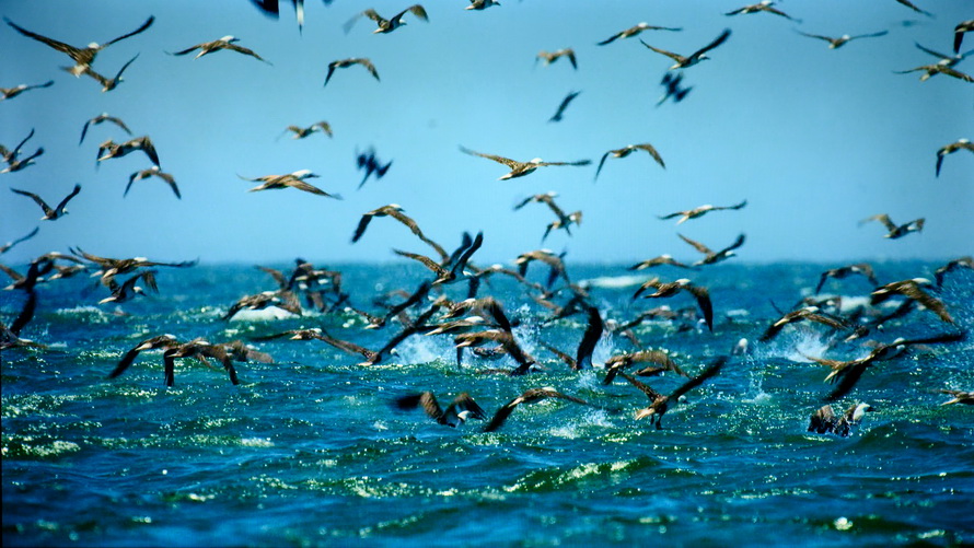 创维电视65g22pro好还是g32pro好,创维电视g22有什么功能