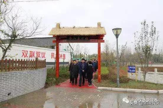 6合道哪套最强,合六一体化路线