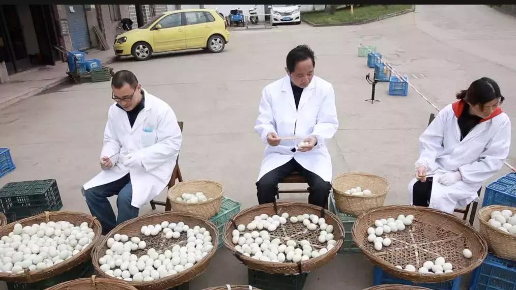 传承了280多年！这道来自嘉兴平湖的奇特美食，你吃过吗？