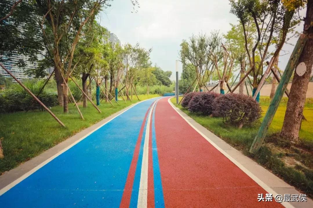 世警会入场式,世警会场地介绍