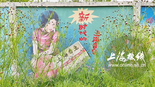 杨浦最新网红打卡,上海杨浦区网红打卡